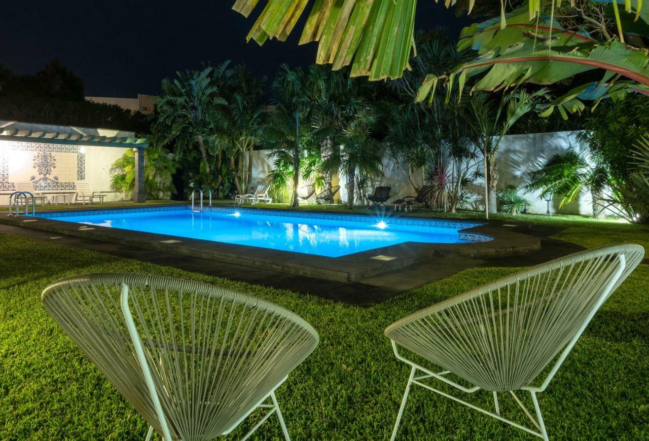 Casa Dos Agapantos Daire Ponta Delgada Dış mekan fotoğraf
